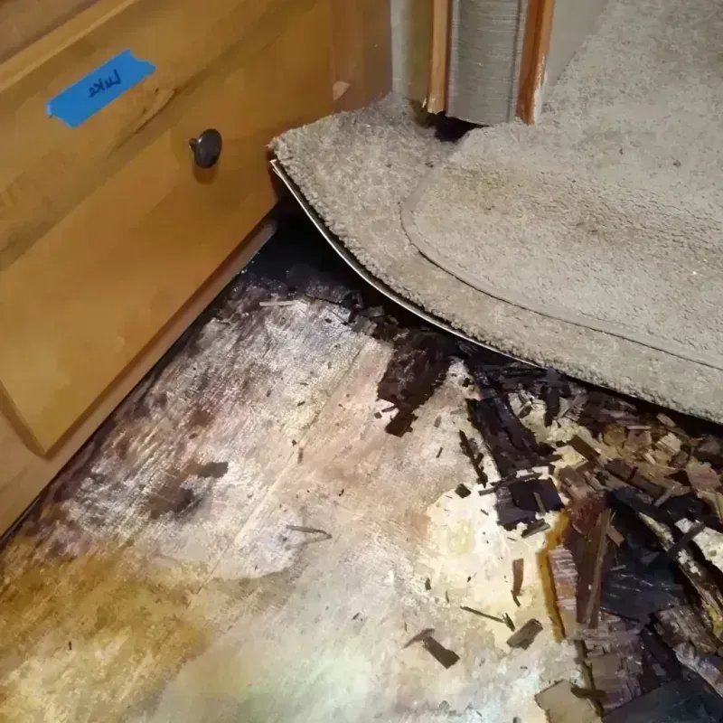 Wood Floor Water Damage in Hebron, MD